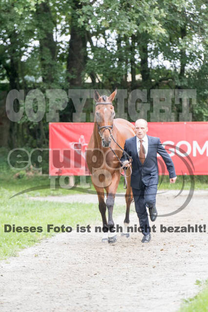FEI European Championship Eventing 2017