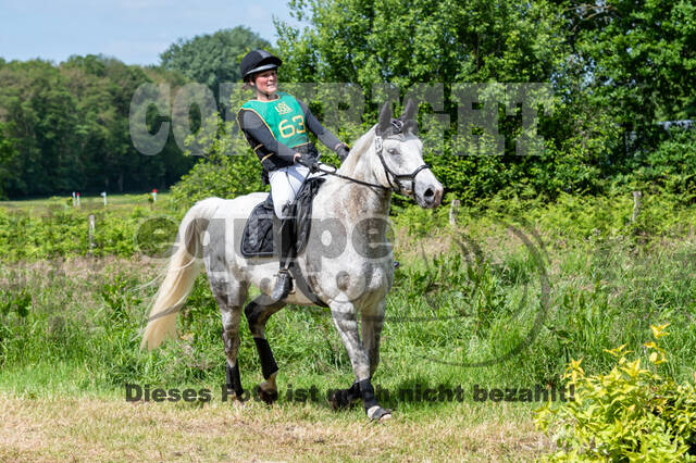 Westerstede Horse Trials (10.-13.06.2021)