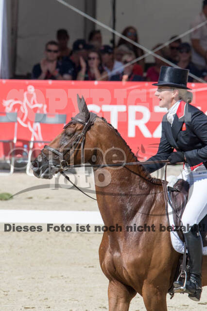 FEI European Championship Eventing 2017