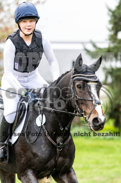 Goldene Schärpe 2020 - Pferde