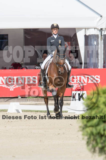 FEI European Championship Eventing 2017