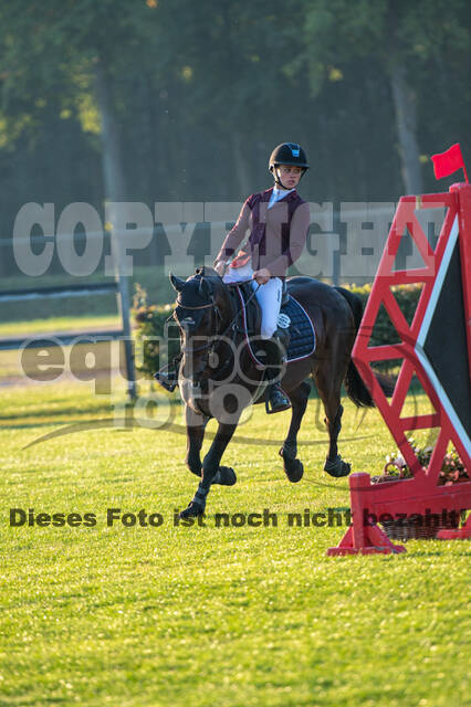 De Peelbergen (August 2020)