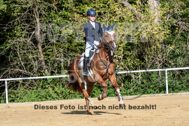 RFV Dinslaken-Hiesfeld (Herbstturnier)