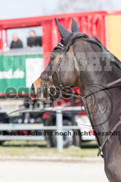 Eventing Langenfeld 2018