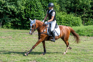 Goldene Schärpe 2021 - Ponys