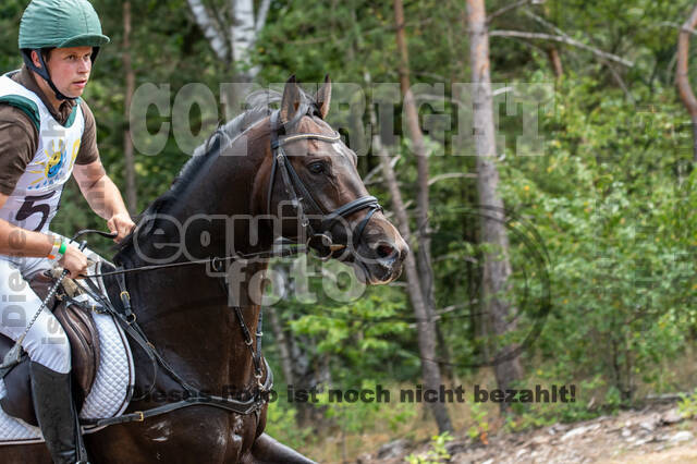 Late-Entry Vielseitigkeit Hamminkeln/Wesel (01.+02.08.2020)