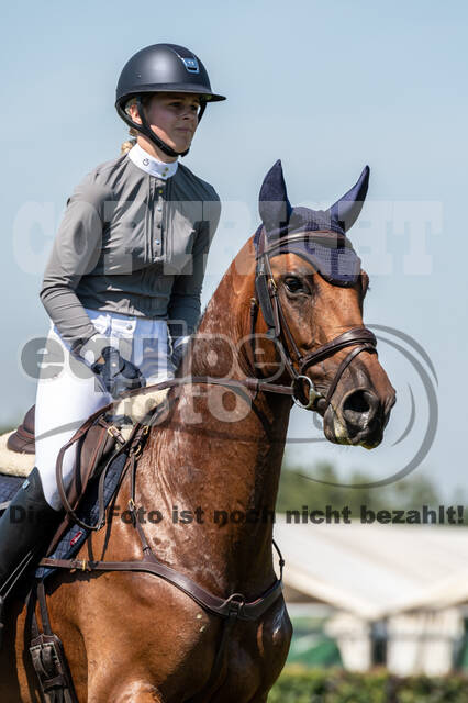 Kronenberg - De Peelbergen (August 2020)