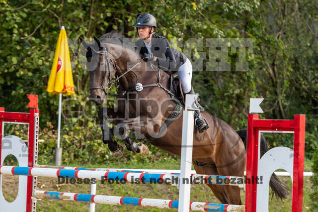 RFV Dinslaken-Hiesfeld (Herbstturnier)