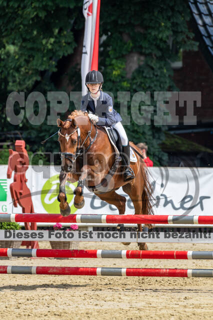 Goldene Schärpe 2021 - Ponys