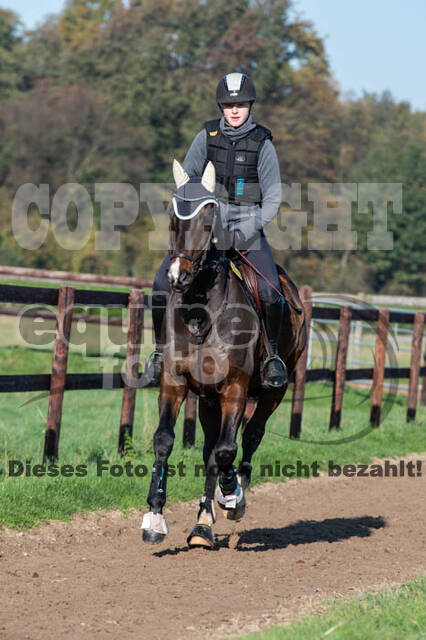 Vielseitigkeitslehrgang mit Jürg Kurbel (9.+10.11.2019)