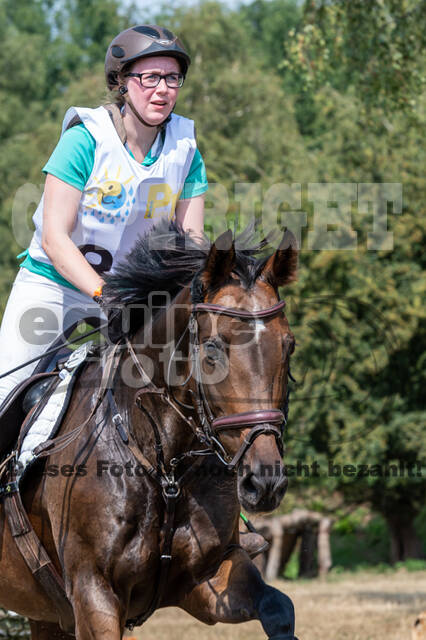 Late-Entry Vielseitigkeit Hamminkeln/Wesel (01.+02.08.2020)