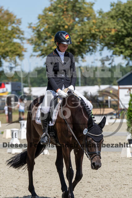 Kronenberg - De Peelbergen (August 2020)