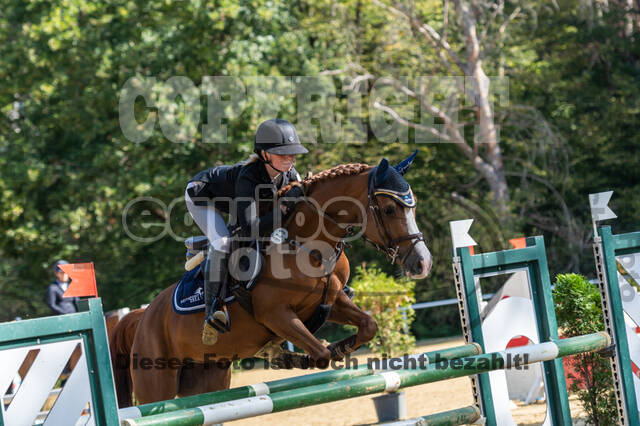 RFV Dinslaken-Hiesfeld (Herbstturnier)