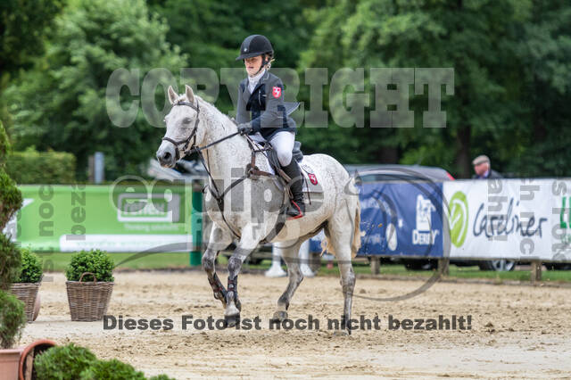 Goldene Schärpe 2021 - Ponys