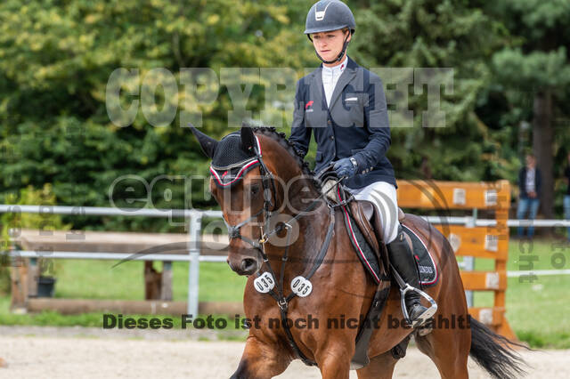 Late-Entry-Vielseitigkeit Langenfeld (06.+07.07.2020)