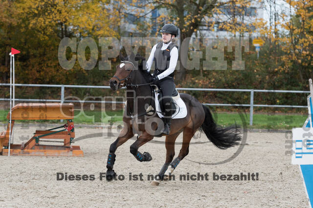 IGV Lehrgang der Sieger der Cups mit Frank Ostholt