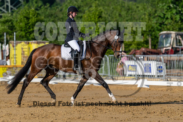 Westerstede Horse Trials 2021
