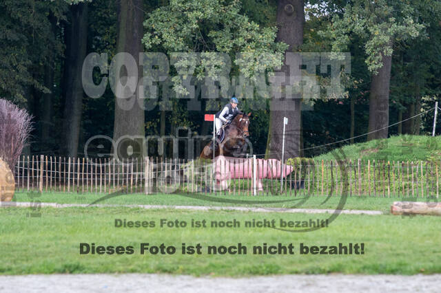 Strzegom October Festival 2016