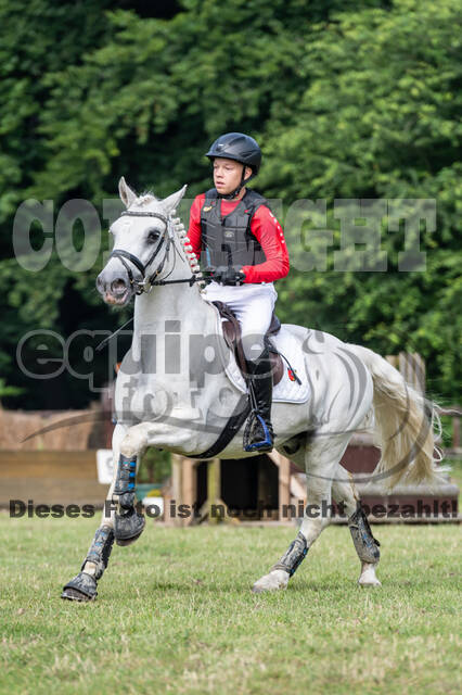 Goldene Schärpe 2021 - Ponys