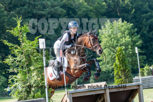 Goldene Schärpe 2021 - Ponys