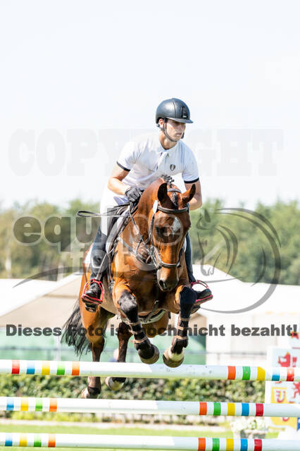 Kronenberg - De Peelbergen (August 2020)