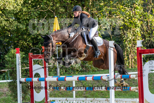 RFV Dinslaken-Hiesfeld (Herbstturnier)