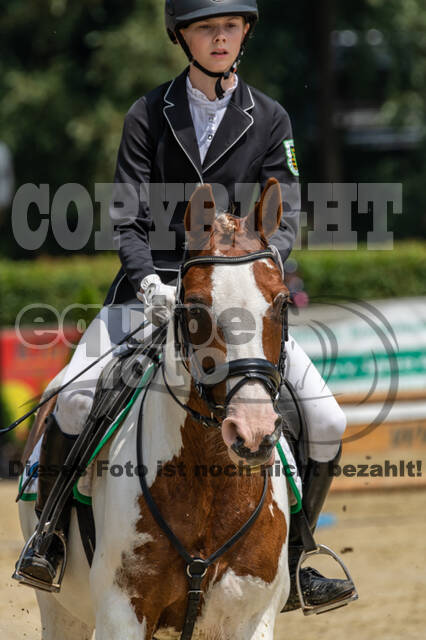 Goldene Schärpe 2021 - Ponys