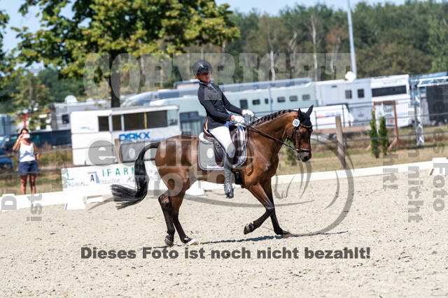 Kronenberg - De Peelbergen (August 2020)