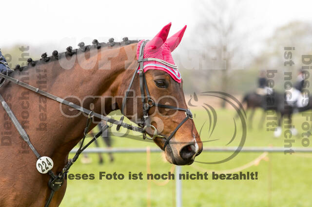 RV Seydlitz Kamp (06.+07.04.2019)