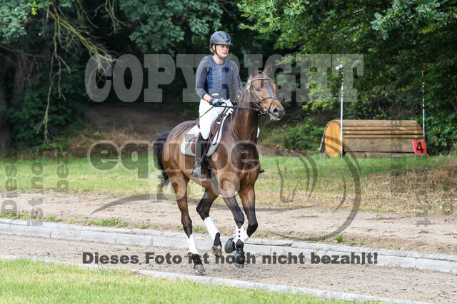 Late-Entry-Vielseitigkeit Langenfeld (11.+13./14.06.2020)