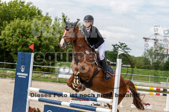 Late-Entry-Vielseitigkeit Langenfeld (06.+07.07.2020)