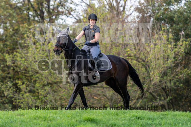 IGV Lehrgang der Sieger der Cups mit Frank Ostholt