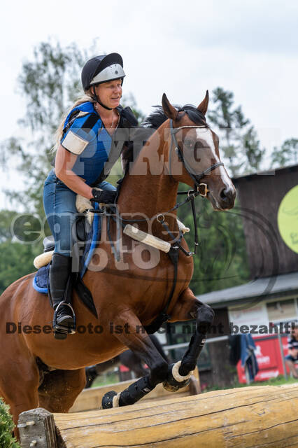 Hunter Geländetraining 10.07.2021 (Sonsbeck)