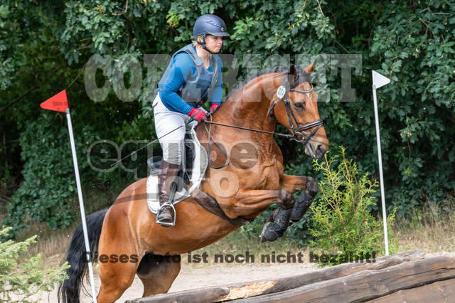 Late-Entry-Vielseitigkeit Langenfeld (11.+13./14.06.2020)