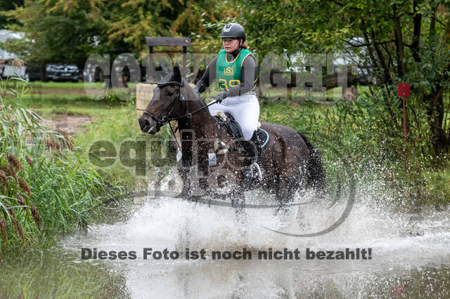 Vielseitigkeit RSV Wesel Obrighoven (26.+27.09.2020)