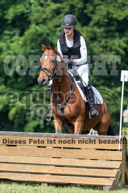 Goldene Schärpe 2021 - Ponys