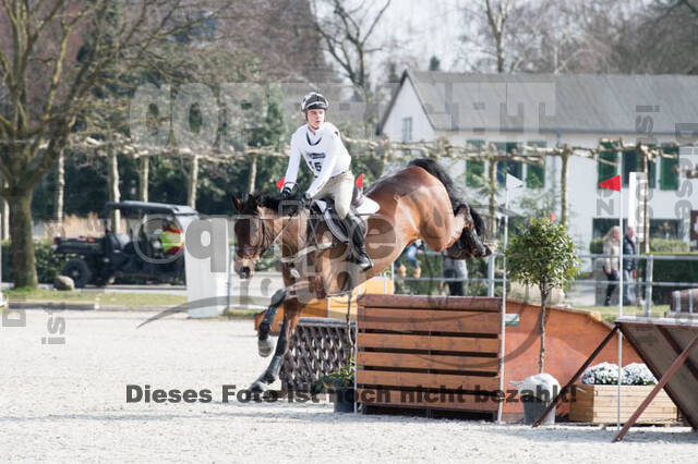 Eventing Langenfeld 2018