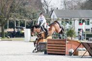 Eventing Langenfeld 2018