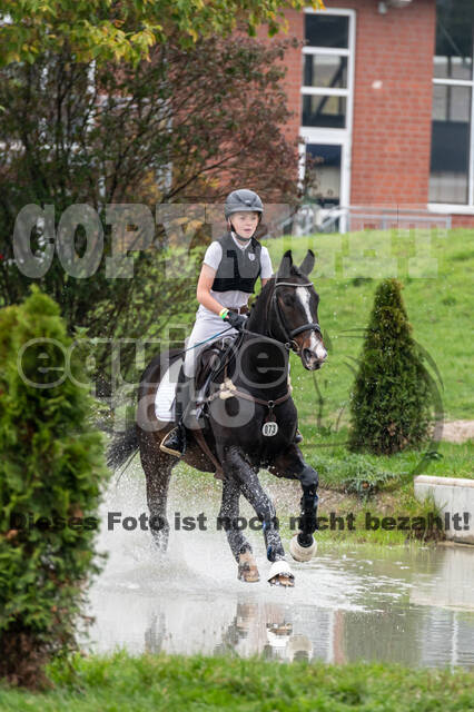 Goldene Schärpe 2020 - Pferde