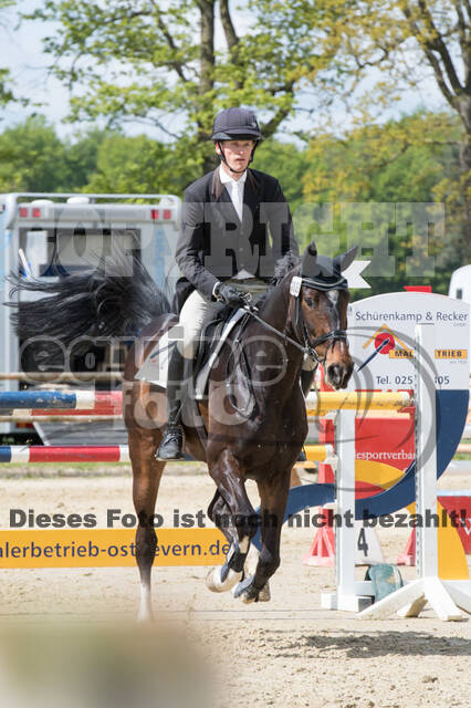 Sterne über Münster 2019 - CCI***S