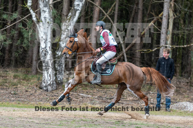 Kronenberg - De Peelbergen (02.04.2022)