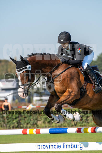 De Peelbergen (August 2020)
