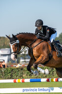 De Peelbergen (August 2020)