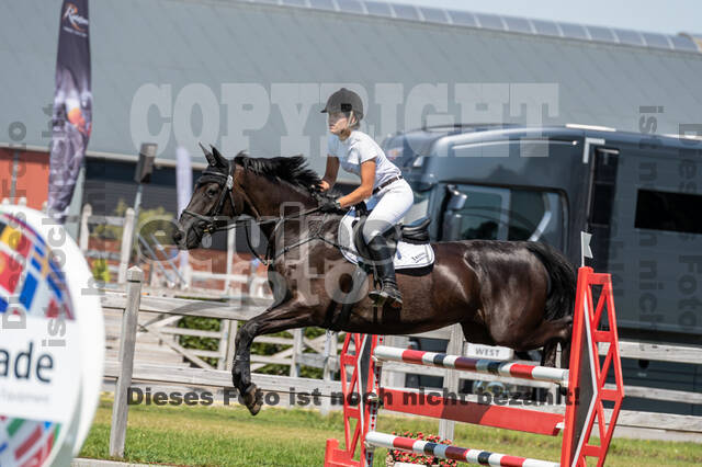 Kronenberg - De Peelbergen (August 2020)