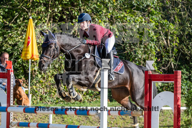 RFV Dinslaken-Hiesfeld (Herbstturnier)