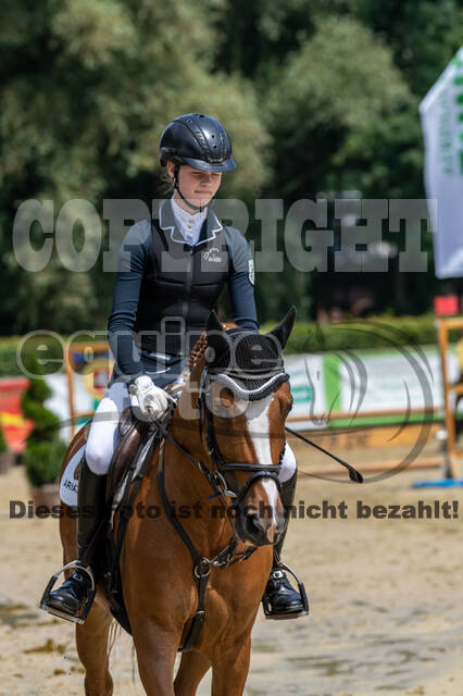 Goldene Schärpe 2021 - Ponys