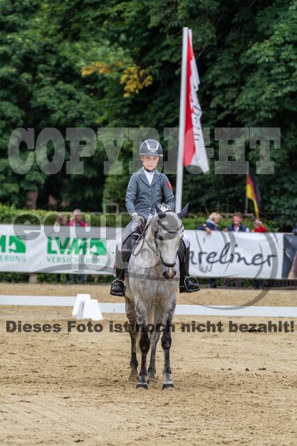 Goldene Schärpe 2021 - Ponys