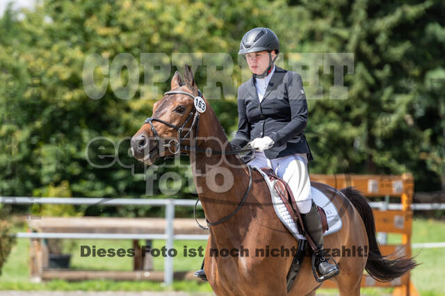 Late-Entry-Vielseitigkeit Langenfeld (06.+07.07.2020)