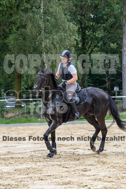 Hunter Geländetraining 10.07.2021 (Sonsbeck)