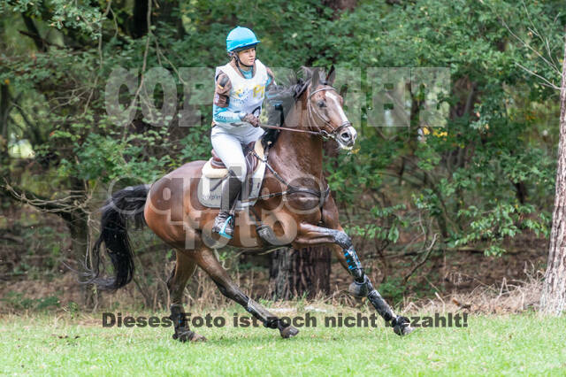 Vielseitigkeit RSV Wesel Obrighoven (26.+27.09.2020)